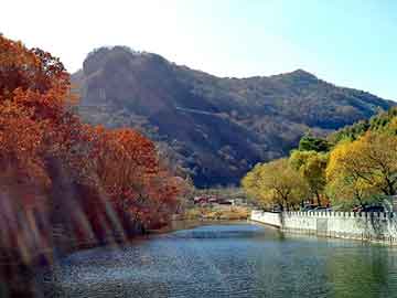 官方老夢明星與優(yōu)酷實時，深度解讀與最新動態(tài)