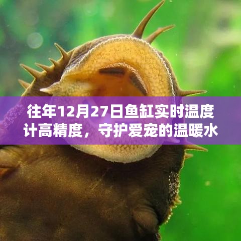 往年12月27日高精度魚缸溫度計(jì)，守護(hù)寵物溫暖水域