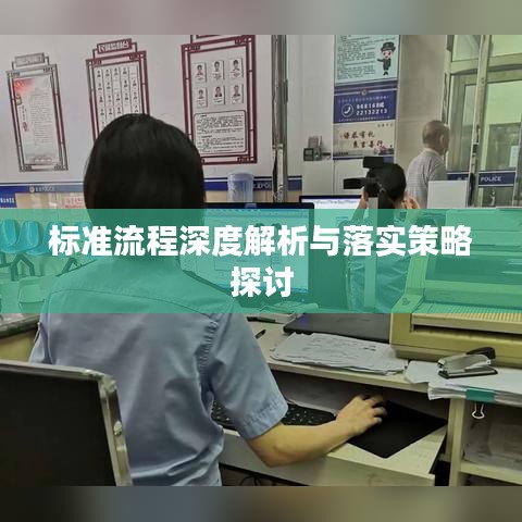 標(biāo)準(zhǔn)流程深度解析與落實(shí)策略探討