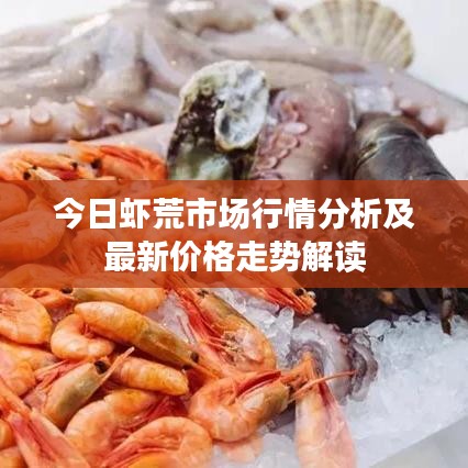 今日蝦荒市場(chǎng)行情分析及最新價(jià)格走勢(shì)解讀