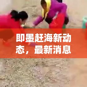 即墨趕海新動(dòng)態(tài)，最新消息一網(wǎng)打盡！