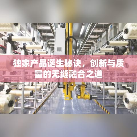 獨家產品誕生秘訣，創新與質量的無縫融合之道
