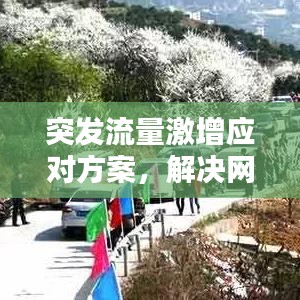 突發流量激增應對方案，解決網絡流量挑戰的策略