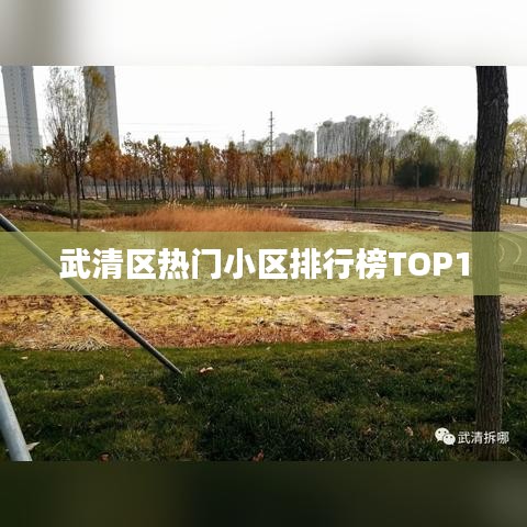 武清區(qū)熱門(mén)小區(qū)排行榜TOP10