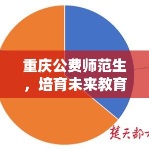 重慶公費師范生，培育未來教育之光，塑造國之棟梁