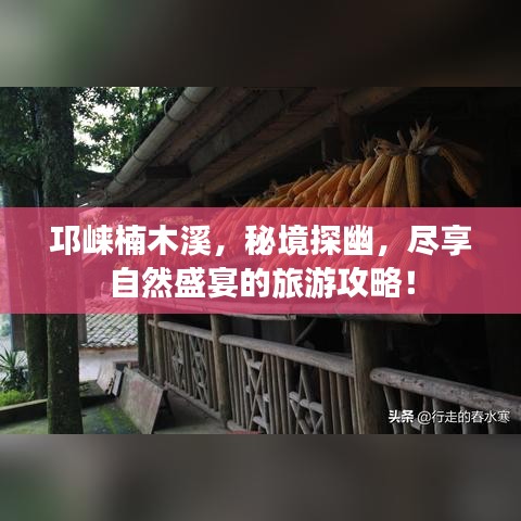 邛崍楠木溪，秘境探幽，盡享自然盛宴的旅游攻略！