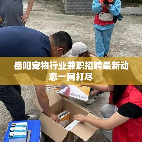 岳陽寵物行業兼職招聘最新動態一網打盡
