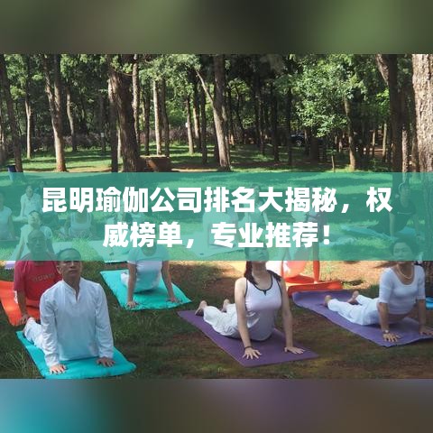 昆明瑜伽公司排名大揭秘，權威榜單，專業推薦！