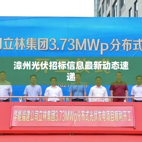 漳州光伏招標信息最新動態速遞