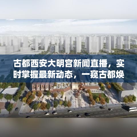 古都西安大明宮新聞直播，實時掌握最新動態，一窺古都煥新貌風采