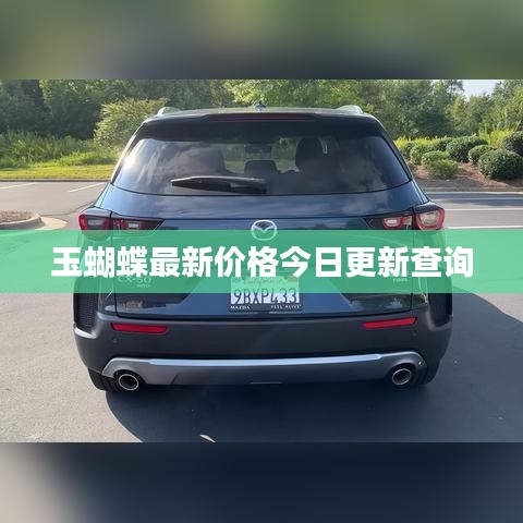 玉蝴蝶最新價(jià)格今日更新查詢