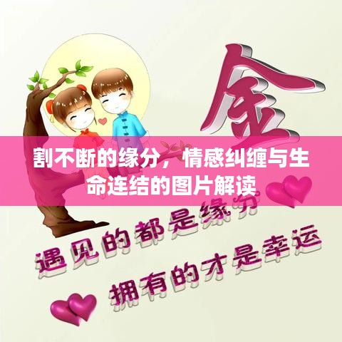 割不斷的緣分，情感糾纏與生命連結的圖片解讀