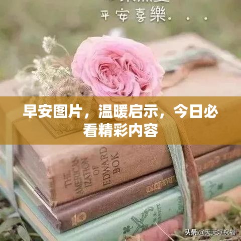 早安圖片，溫暖啟示，今日必看精彩內(nèi)容